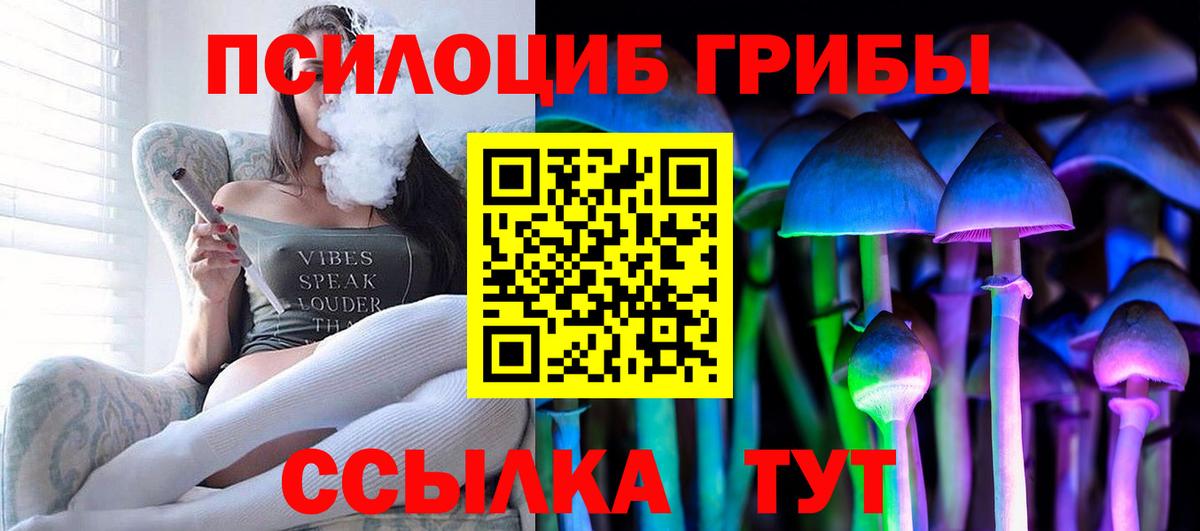 Родники  Псилоцибиновые грибы прущие грибы  Вход с VPN 