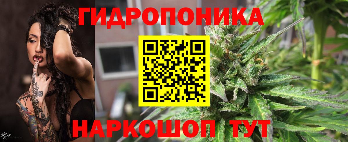 Конопля тримм  Марихуана планчик  Вход с VPN  Шишки марихуана Amnesia  Родники 